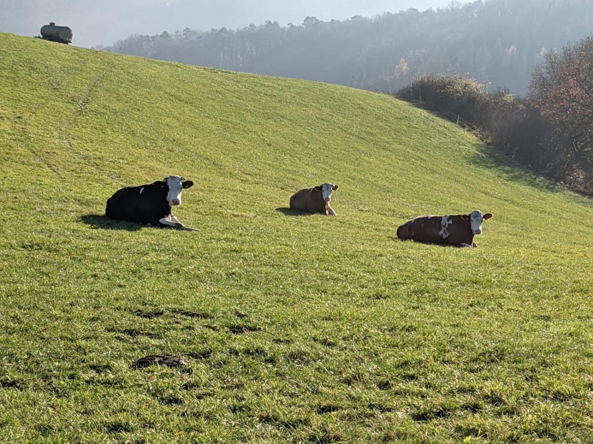 Ferienwohnungen Am Aeppelsberg Volkesfeld Екстериор снимка